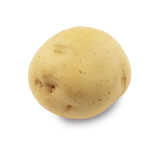 Kissan%20Potato%20Seed%20Farm